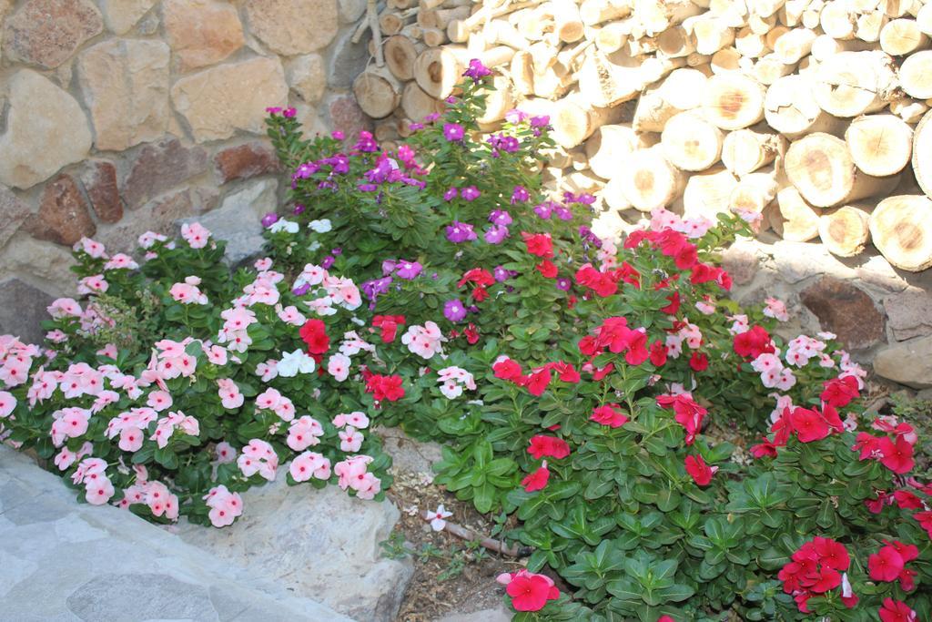 Modern&Quiet Place Eilat Eksteriør billede